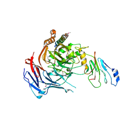 BU of 3pbp by Molmil