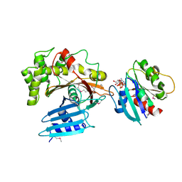 BU of 3pcr by Molmil