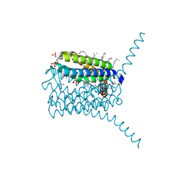 BU of 3pcv by Molmil