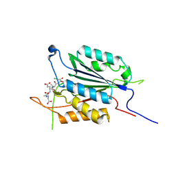 BU of 3pd1 by Molmil