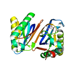 BU of 3pd2 by Molmil