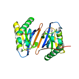 BU of 3pd4 by Molmil