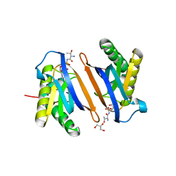 BU of 3pd5 by Molmil