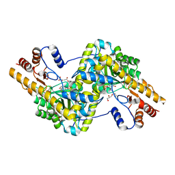 BU of 3pdb by Molmil