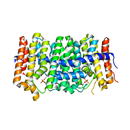 BU of 3pde by Molmil