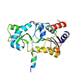 BU of 3pdh by Molmil