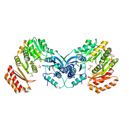 BU of 3pdk by Molmil