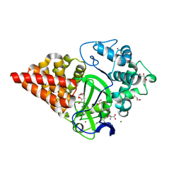 BU of 3pdn by Molmil