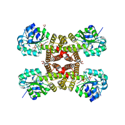 BU of 3pdu by Molmil