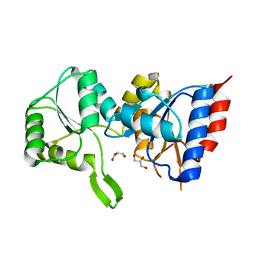 BU of 3pdw by Molmil