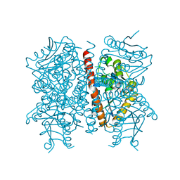 BU of 3pe8 by Molmil