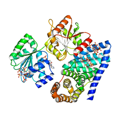 AU of 3pex by Molmil