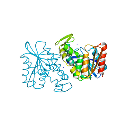 BU of 3pf9 by Molmil