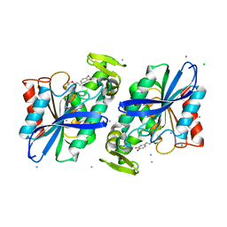 BU of 3pfb by Molmil