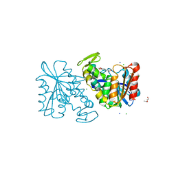 BU of 3pfc by Molmil