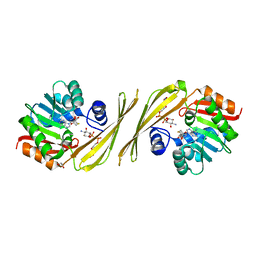 BU of 3pfh by Molmil