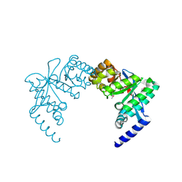 BU of 3pfm by Molmil