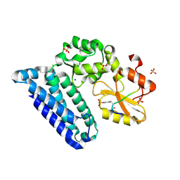 BU of 3pfv by Molmil