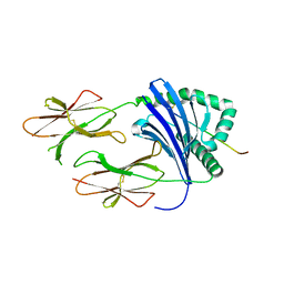 BU of 3pgd by Molmil