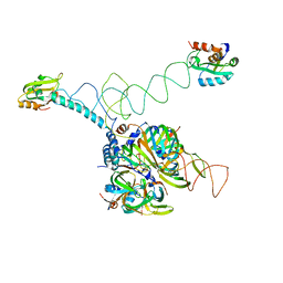 BU of 3pgw by Molmil