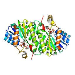 BU of 3pjf by Molmil