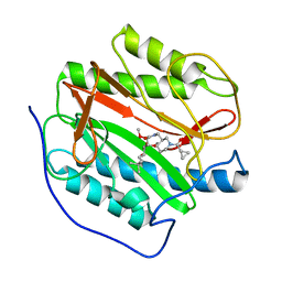 BU of 3pkc by Molmil