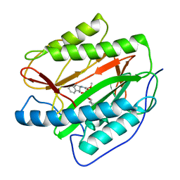 BU of 3pkd by Molmil