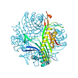 BU of 3pkf by Molmil