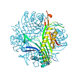 BU of 3pkg by Molmil