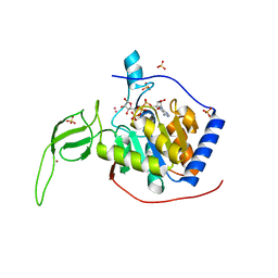 BU of 3pki by Molmil