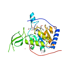 BU of 3pkj by Molmil