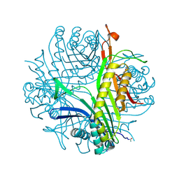 BU of 3pkk by Molmil