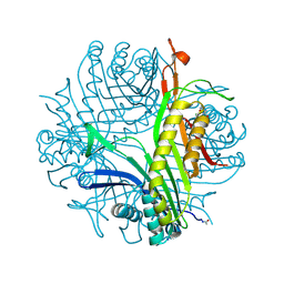 BU of 3pku by Molmil