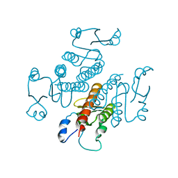 AU of 3plo by Molmil