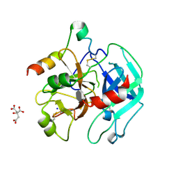 BU of 3pma by Molmil