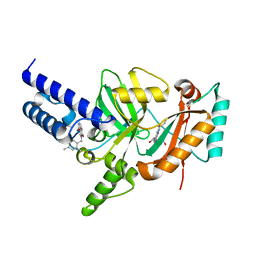 BU of 3pn1 by Molmil