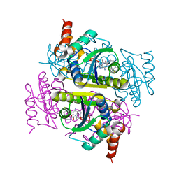 BU of 3pnb by Molmil