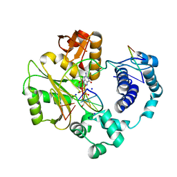 BU of 3pnc by Molmil