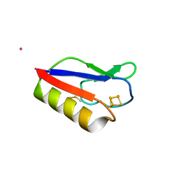 BU of 3pni by Molmil