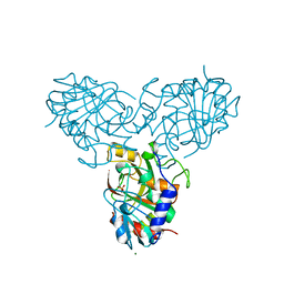 BU of 3pnp by Molmil