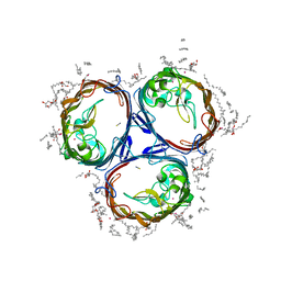 BU of 3pox by Molmil