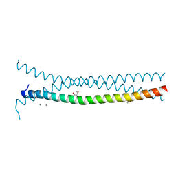 BU of 3pp5 by Molmil