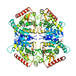 BU of 3pqf by Molmil