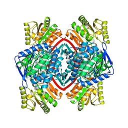 BU of 3prl by Molmil