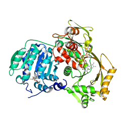 BU of 3ps9 by Molmil