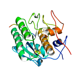 BU of 3ptl by Molmil