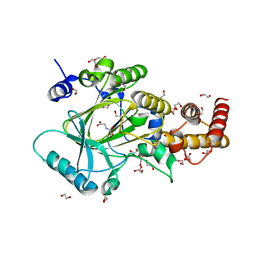 BU of 3pu3 by Molmil