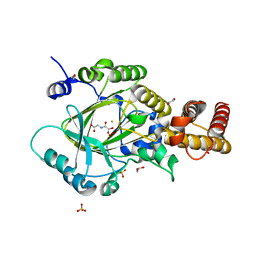 BU of 3pu8 by Molmil