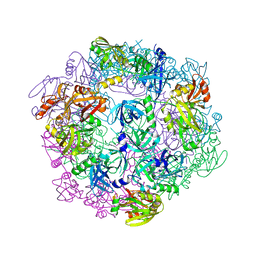 BU of 3pv5 by Molmil