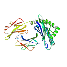 BU of 3pwu by Molmil